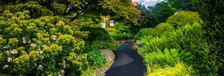 Where to find the Best Insurance for a Landscaping Company in Ohio