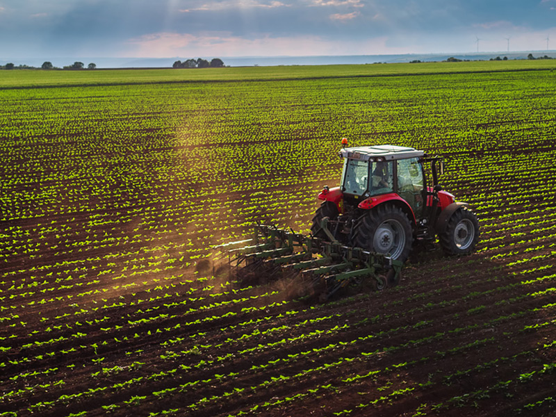 farm insurance