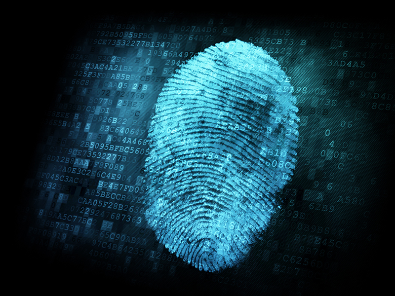 Digital Forensics and Incident Response