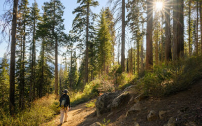 Live Well Work Well – June 2026